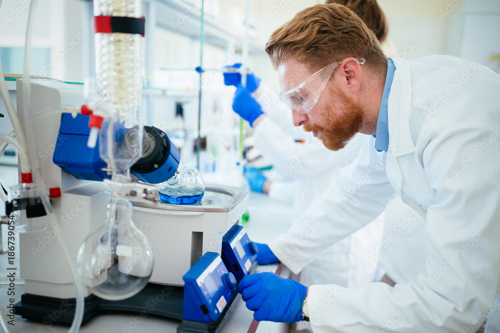 Scientist working at the laboratory Scientist working at the laboratory