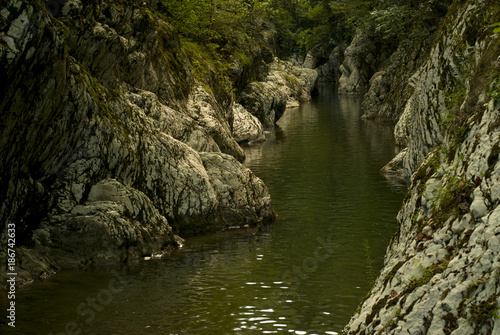 landscape: a picturesque stone canyon of a small creek in a tropical forest with wrinkled white rocks..