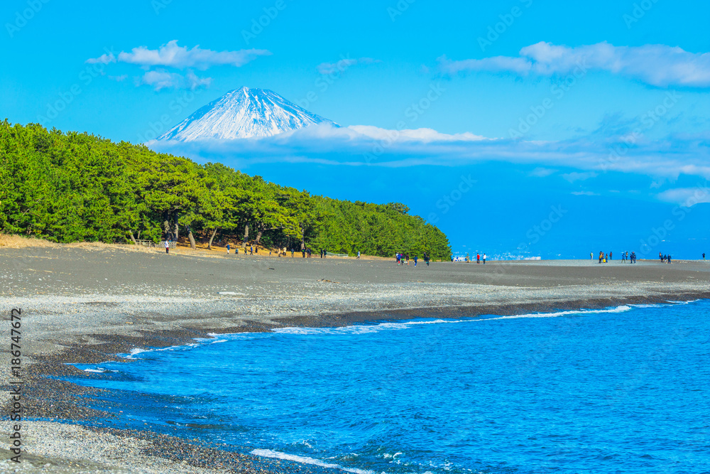 富士山と三保の松原 Stock 写真 | Adobe Stock
