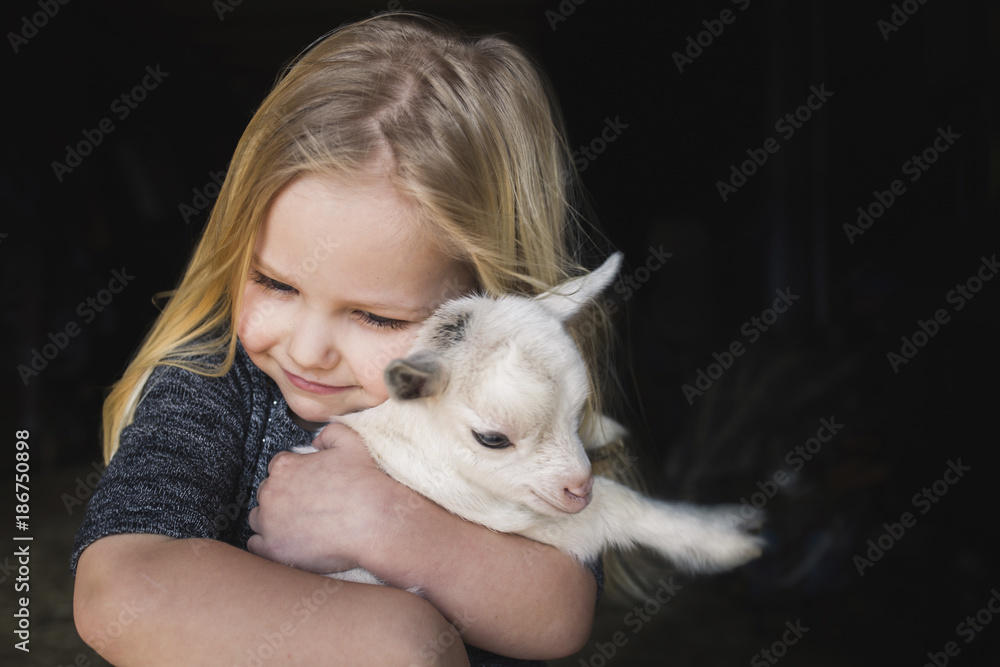 High angle view of girl embracing kid goat High angle view of girl embracing kid goat