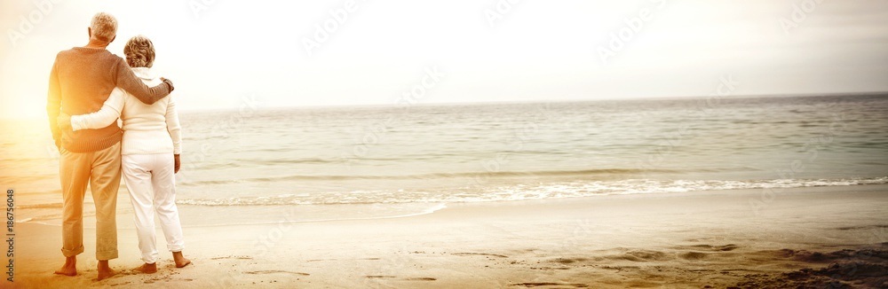 Rear view of senior couple embracing at beach