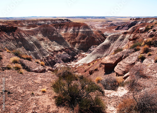 The Painted Desert Vegetation in Arizona  USA