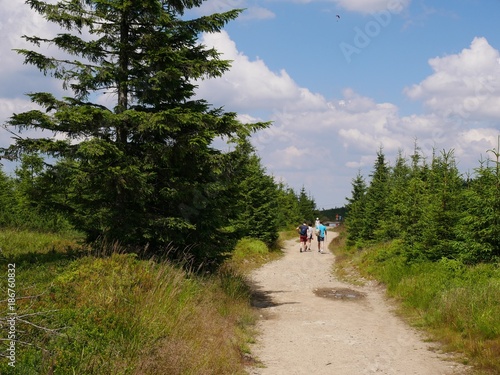 Family on a forest path in the mountains.