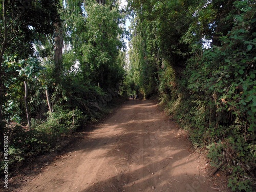 camino al lago