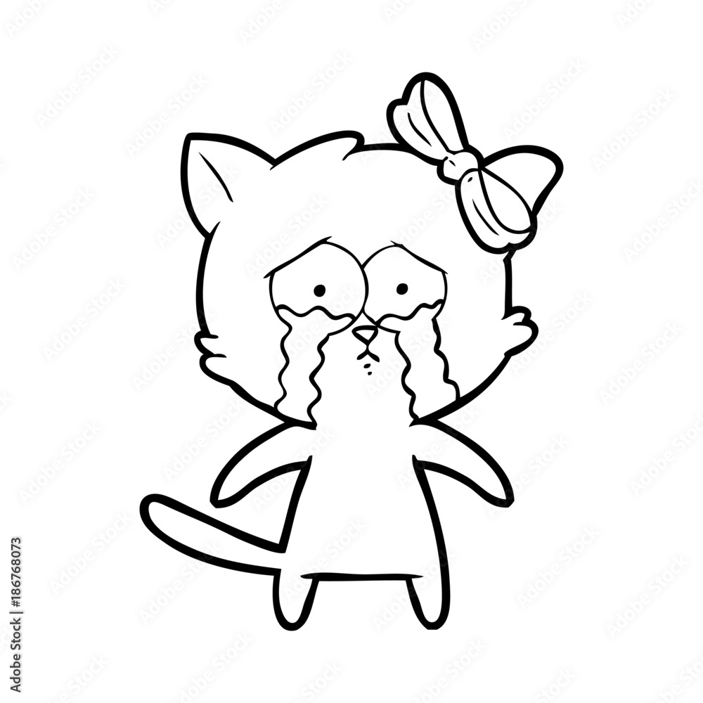 cartoon cat cartoon cat