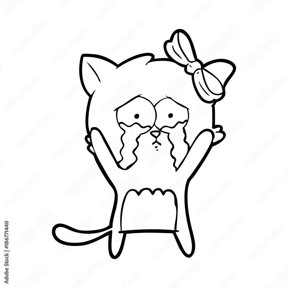 cartoon cat cartoon cat