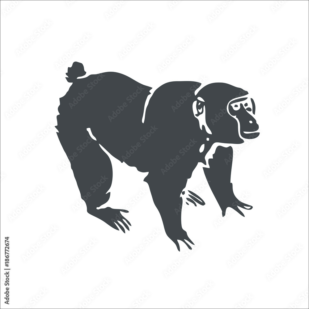 Monkey icon. Vector Illustration Monkey icon. Vector Illustration