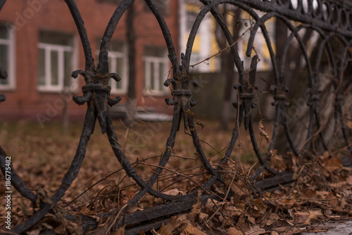 fragment of an old metal fence with dry leaves and twigs