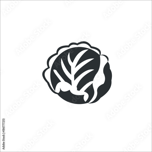 Cabbage icon.  Illustration