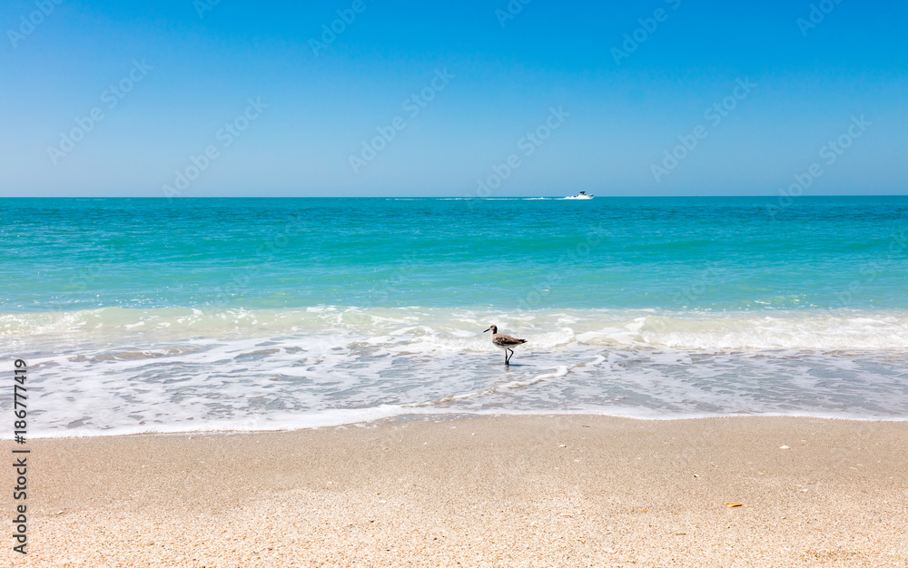 Beach, sand, bird, water, ship, blue sky, Sanibel Island, Florida