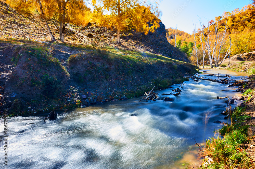 The water and autumn trees. The water and autumn trees.