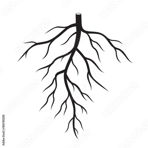 Black Roots Tree. Vector Illustration.