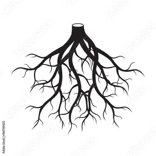Black Roots Tree. Vector Illustration.