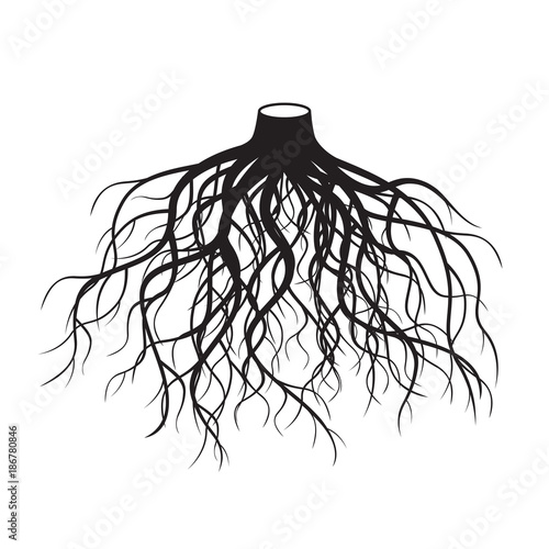 Black Roots Tree. Vector Illustration.