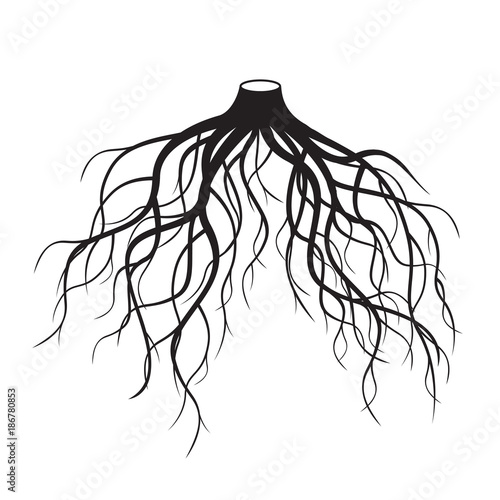 Black Roots Tree. Vector Illustration.
