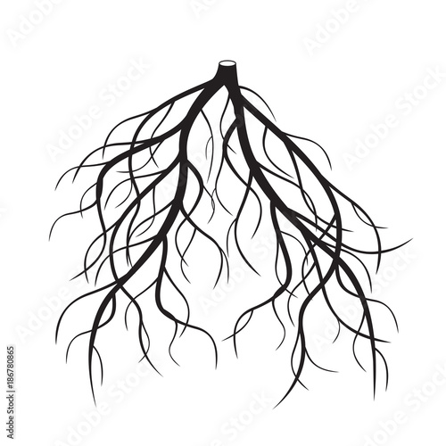 Black Roots Tree. Vector Illustration.
