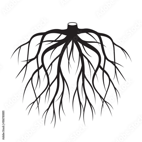 Black Roots Tree. Vector Illustration.