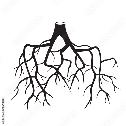 Black Roots Tree. Vector Illustration.