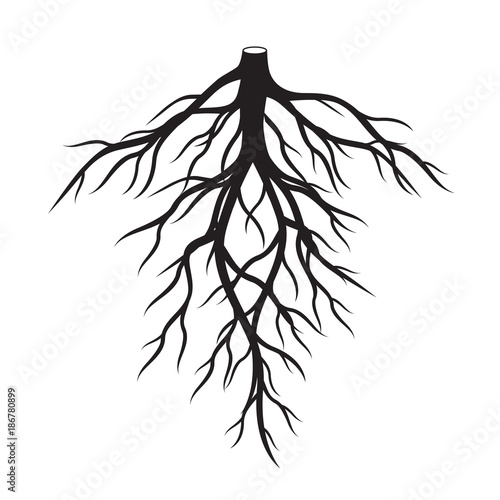 Black Roots Tree. Vector Illustration.