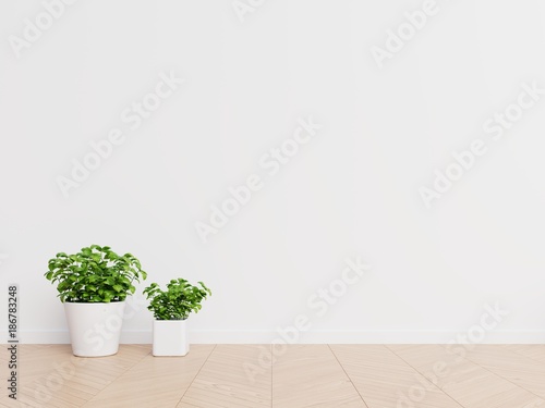 White wall interior design with plants on a floor,3D rendering