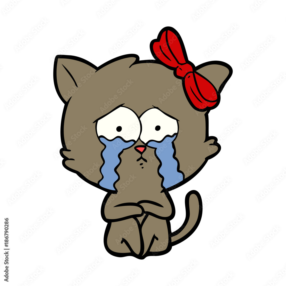 cartoon cat cartoon cat
