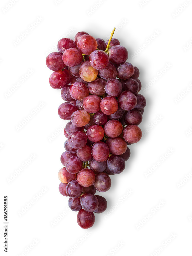 Red grapes isolated on white background with clipping path