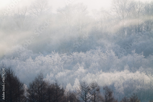 冬の北海道 © makieni