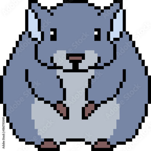 vector pixel art chinchilla