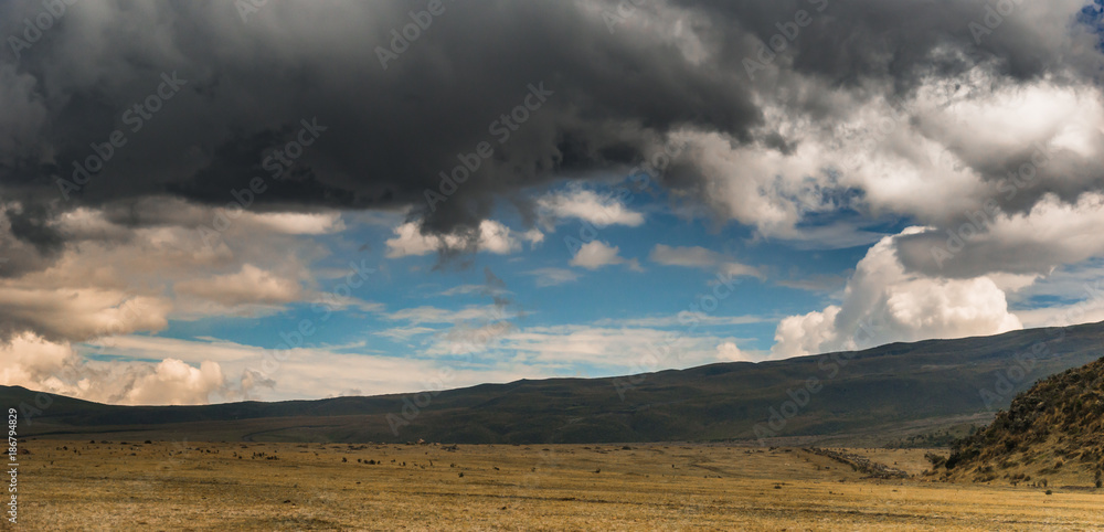 vulcani dell ecuador