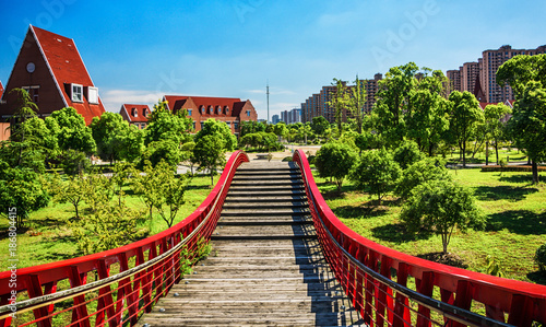 Photography bridge in the park with city