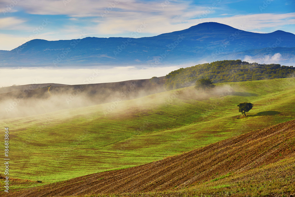 Obraz premium Landscape of San Quirico d'Orcia, Tuscany, Italy