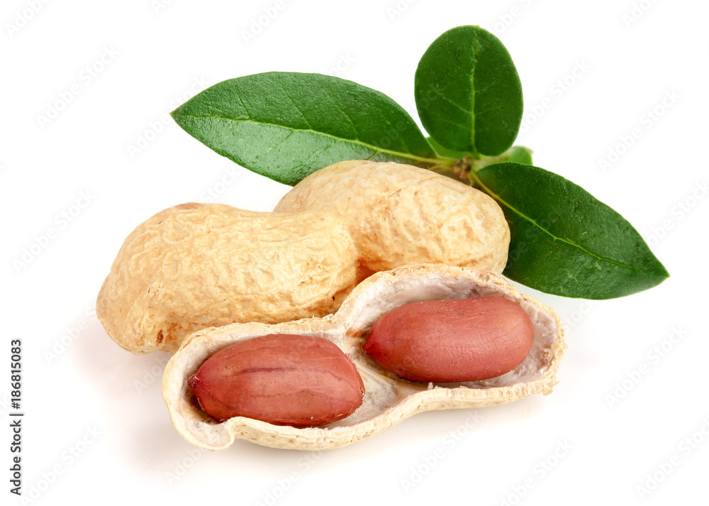 peanuts with leaf isolated on white background peanuts with leaf isolated on white background