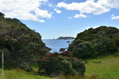 Scenic Views of Bay of Islands photo