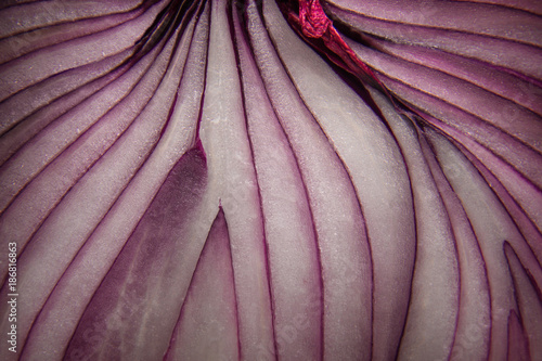 Close up of half of red onion
