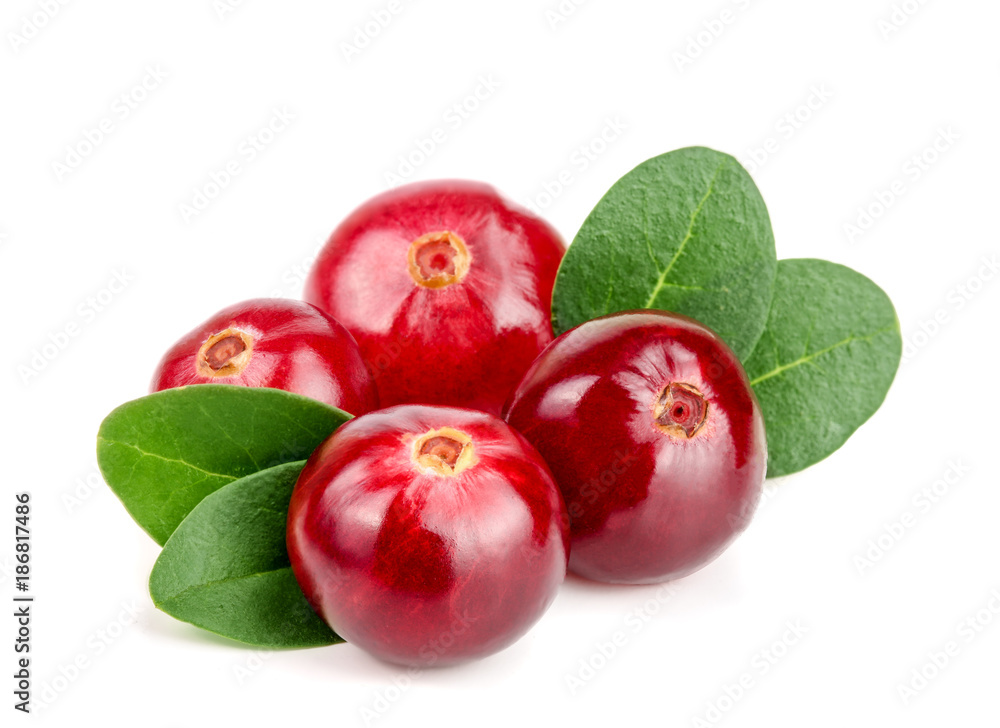 Cranberry with leaf isolated on white background closeup macro Cranberry with leaf isolated on white background closeup macro