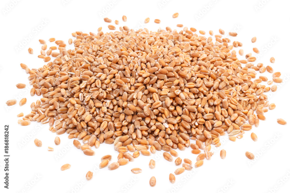 Heap of raw natural wheat seeds isolated on white Heap of raw natural wheat seeds isolated on white
