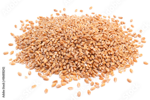 Heap of raw natural wheat seeds isolated on white