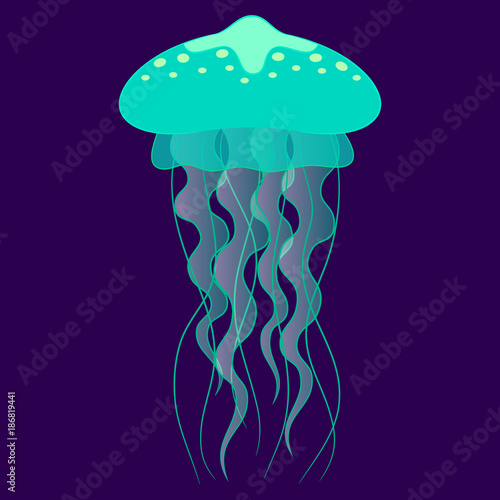 jellyfish cute vector 