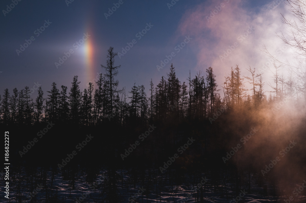 effect of the solar crown over the Far East taiga