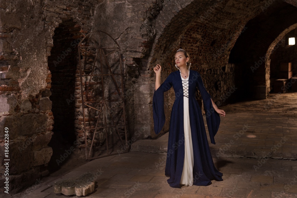 Naklejka premium princess balcony medieval dress ancient young blue dress castle stairs window fairytale cellar