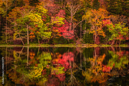 Bild auf Leinwand The autumn colors reflected in a lake at Shiretoko, Hokkaido, Japan