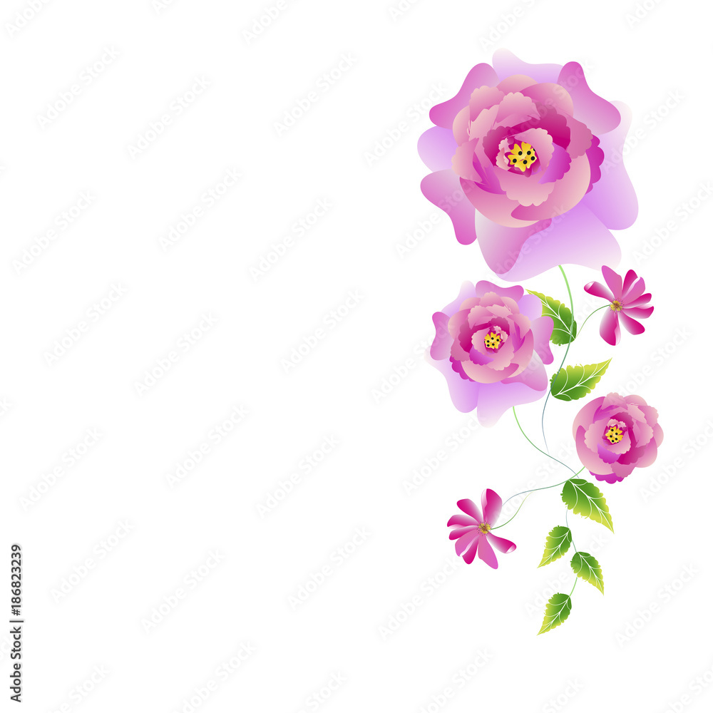 beautiful flowers beautiful flowers