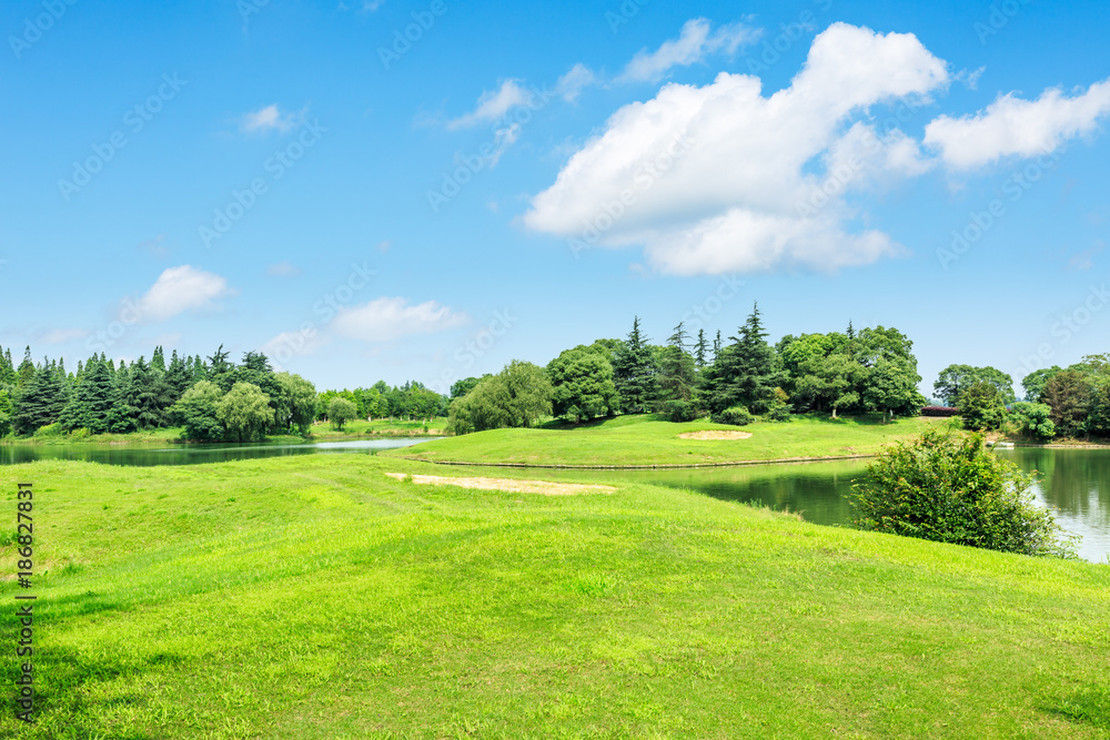 green meadow and trees with pond landscape in the nature park,beautiful summer season green meadow and trees with pond landscape in the nature park,beautiful summer season