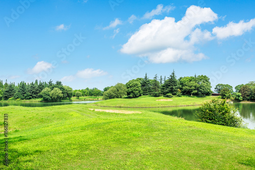 Fototapeta Naklejka Na Ścianę i Meble -  green meadow and trees with pond landscape in the nature park,beautiful summer season