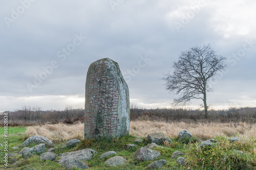 Ancient runestone in a rural landscape