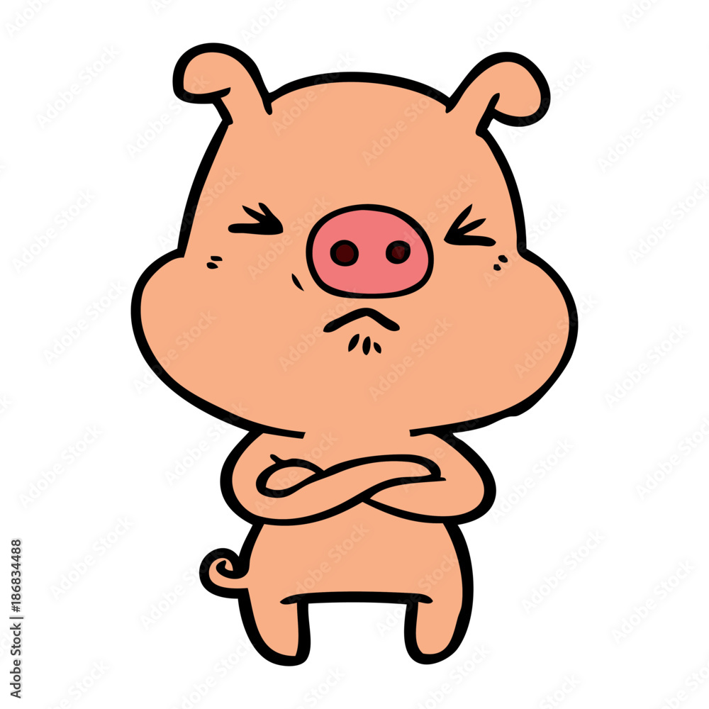 cartoon angry pig cartoon angry pig