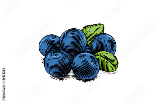 Heap of blueberry