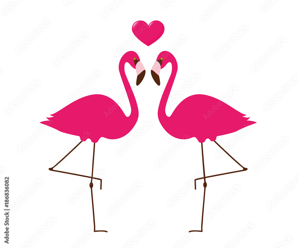 Fototapeta premium zwei sich liebende pinke flamingos