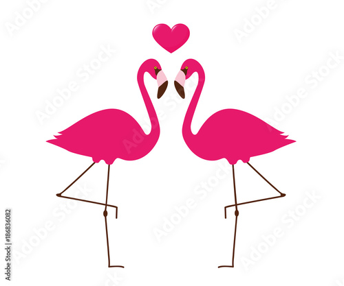 zwei sich liebende pinke flamingos