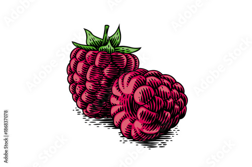 Two fresh raspberries